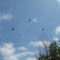 IMG_2960